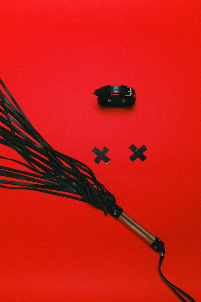 Erotic BDSM accessories with leather choker and whip on striking red backdrop, emphasizing fetish themes.