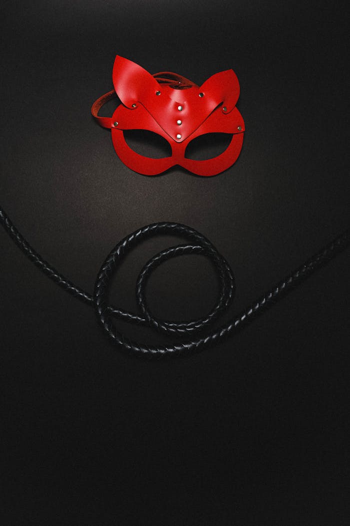 A red leather mask paired with a black whip, evoking themes of mystery and sensuality.